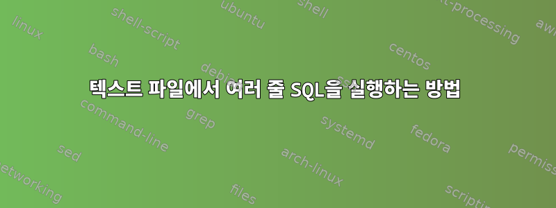 텍스트 파일에서 여러 줄 SQL을 실행하는 방법