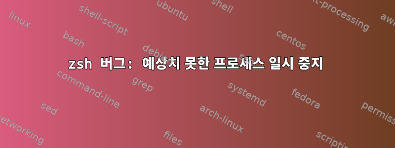 zsh 버그: 예상치 못한 프로세스 일시 중지