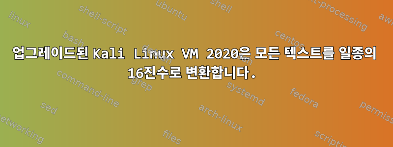 업그레이드된 Kali Linux VM 2020은 모든 텍스트를 일종의 16진수로 변환합니다.