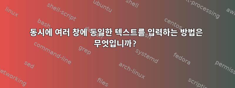 동시에 여러 창에 동일한 텍스트를 입력하는 방법은 무엇입니까?