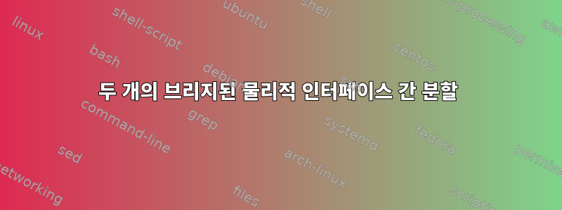 두 개의 브리지된 물리적 인터페이스 간 분할