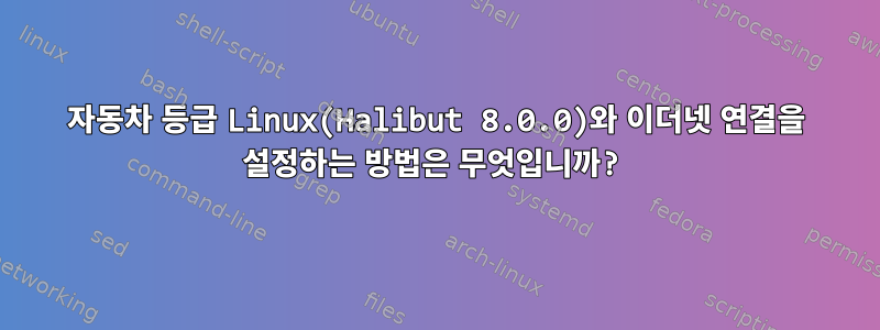 자동차 등급 Linux(Halibut 8.0.0)와 이더넷 연결을 설정하는 방법은 무엇입니까?