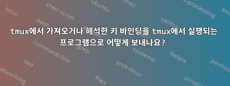 tmux에서 가져오거나 해석한 키 바인딩을 tmux에서 실행되는 프로그램으로 어떻게 보내나요?