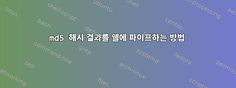 md5 해시 결과를 쉘에 파이프하는 방법