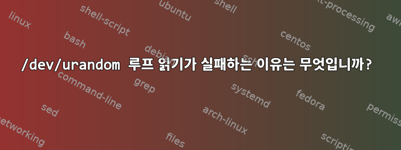 /dev/urandom 루프 읽기가 실패하는 이유는 무엇입니까?