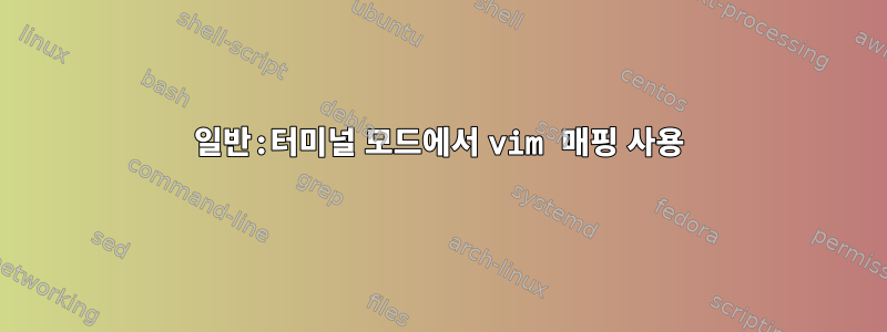 일반:터미널 모드에서 vim 매핑 사용