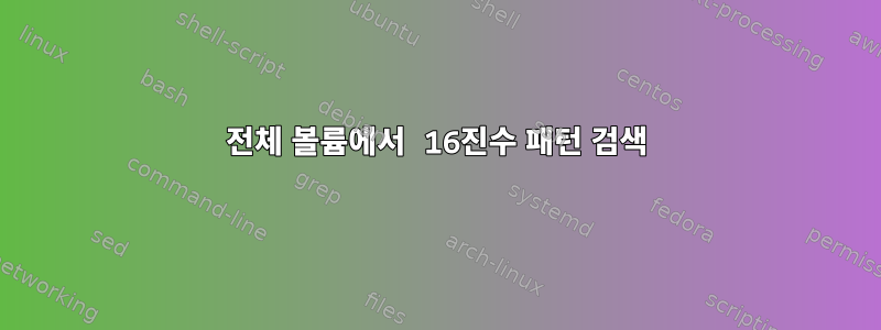 전체 볼륨에서 16진수 패턴 검색