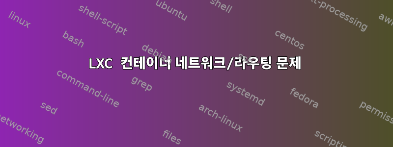 LXC 컨테이너 네트워크/라우팅 문제