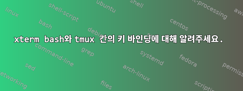 xterm bash와 tmux 간의 키 바인딩에 대해 알려주세요.