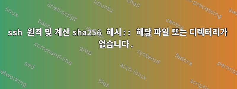 ssh 원격 및 계산 sha256 해시:: 해당 파일 또는 디렉터리가 없습니다.