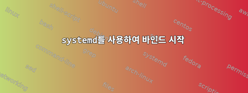 systemd를 사용하여 바인드 시작