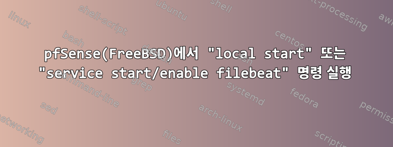 pfSense(FreeBSD)에서 "local start" 또는 "service start/enable filebeat" 명령 실행