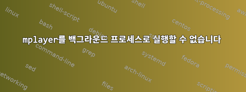 mplayer를 백그라운드 프로세스로 실행할 수 없습니다