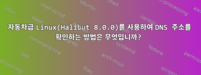 자동차급 Linux(Halibut 8.0.0)를 사용하여 DNS 주소를 확인하는 방법은 무엇입니까?