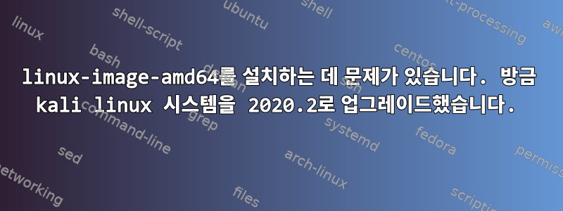 linux-image-amd64를 설치하는 데 문제가 있습니다. 방금 kali linux 시스템을 2020.2로 업그레이드했습니다.