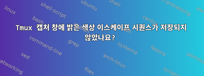 Tmux 캡처 창에 밝은 색상 이스케이프 시퀀스가 ​​저장되지 않았나요?