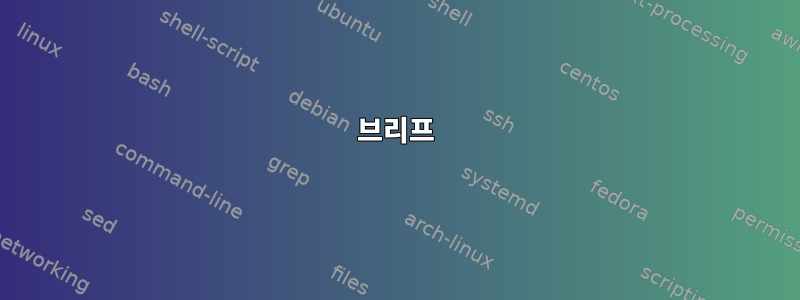 브리프