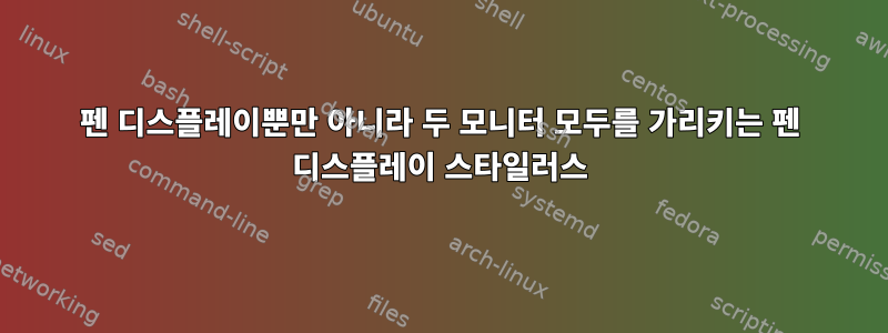 펜 디스플레이뿐만 아니라 두 모니터 모두를 가리키는 펜 디스플레이 스타일러스