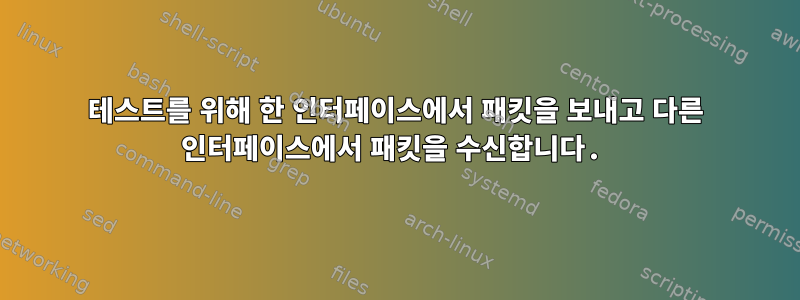 테스트를 위해 한 인터페이스에서 패킷을 보내고 다른 인터페이스에서 패킷을 수신합니다.