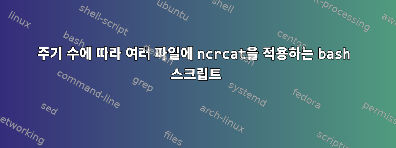 주기 수에 따라 여러 파일에 ncrcat을 적용하는 bash 스크립트