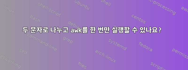 두 문자로 나누고 awk를 한 번만 실행할 수 있나요?