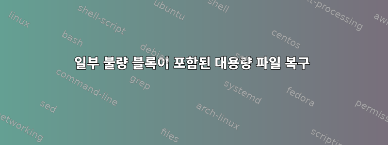 일부 불량 블록이 포함된 대용량 파일 복구