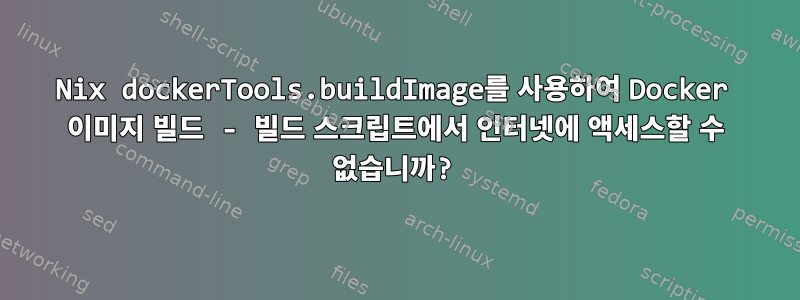 Nix dockerTools.buildImage를 사용하여 Docker 이미지 빌드 - 빌드 스크립트에서 인터넷에 액세스할 수 없습니까?