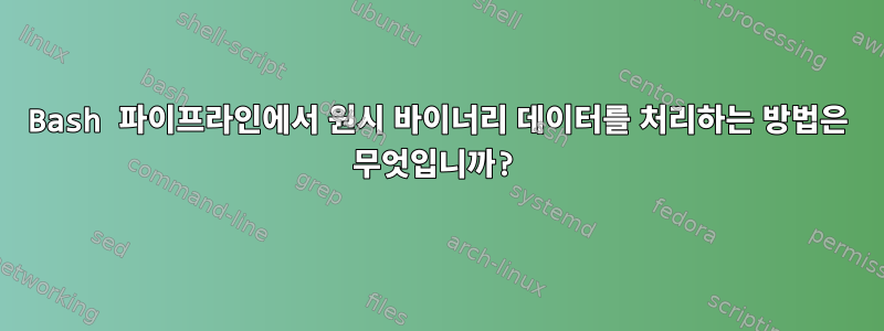 Bash 파이프라인에서 원시 바이너리 데이터를 처리하는 방법은 무엇입니까?