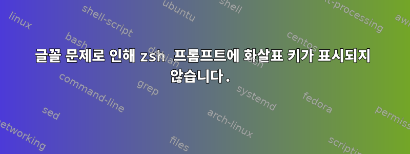 글꼴 문제로 인해 zsh 프롬프트에 화살표 키가 표시되지 않습니다.