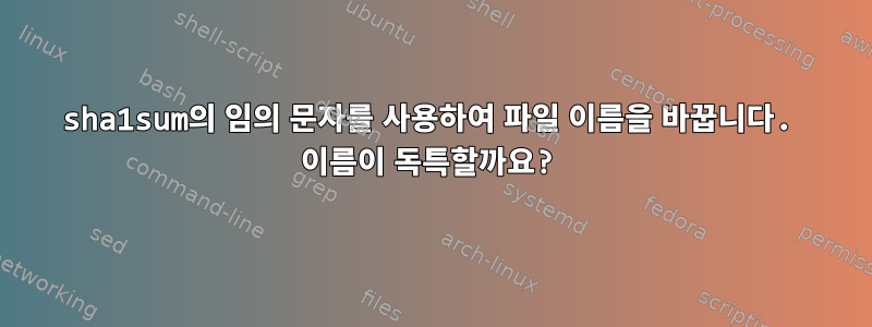 sha1sum의 임의 문자를 사용하여 파일 이름을 바꿉니다. 이름이 독특할까요?