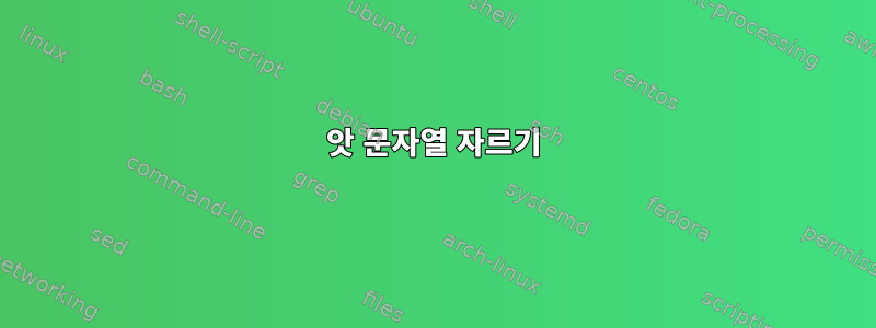 앗 문자열 자르기