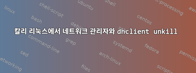 칼리 리눅스에서 네트워크 관리자와 dhclient unkill