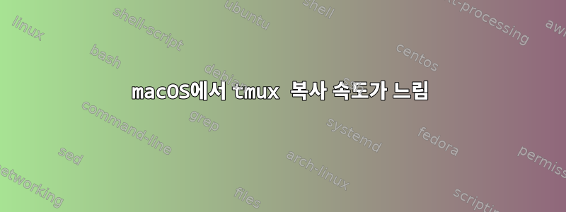 macOS에서 tmux 복사 속도가 느림