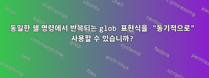 동일한 쉘 명령에서 반복되는 glob 표현식을 "동기적으로" 사용할 수 있습니까?