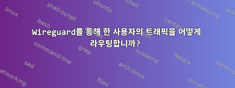 Wireguard를 통해 한 사용자의 트래픽을 어떻게 라우팅합니까?