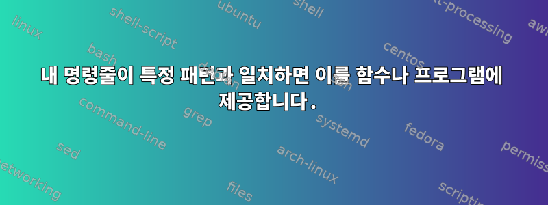 내 명령줄이 특정 패턴과 일치하면 이를 함수나 프로그램에 제공합니다.