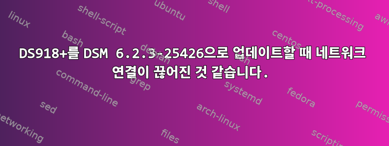 DS918+를 DSM 6.2.3-25426으로 업데이트할 때 네트워크 연결이 끊어진 것 같습니다.