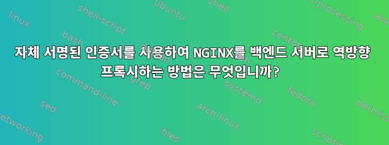 자체 서명된 인증서를 사용하여 NGINX를 백엔드 서버로 역방향 프록시하는 방법은 무엇입니까?