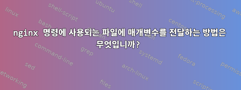 nginx 명령에 사용되는 파일에 매개변수를 전달하는 방법은 무엇입니까?