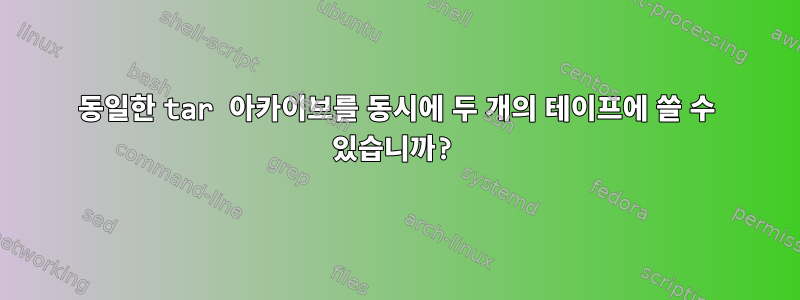 동일한 tar 아카이브를 동시에 두 개의 테이프에 쓸 수 있습니까?