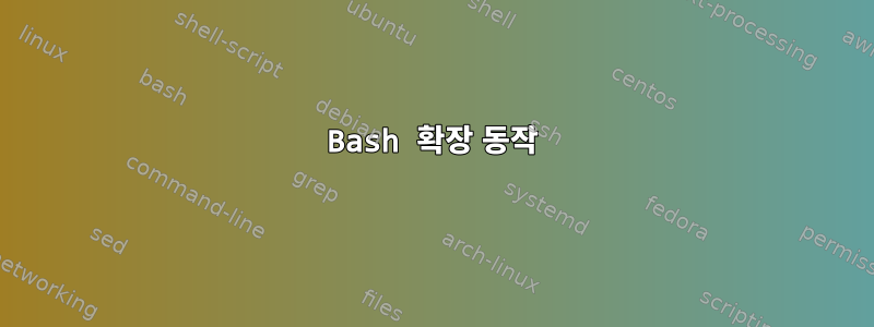 Bash 확장 동작