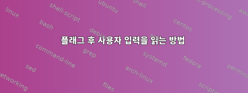 플래그 후 사용자 입력을 읽는 방법