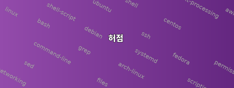 허점