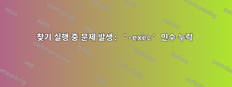 찾기 실행 중 문제 발생: '-exec' 인수 누락