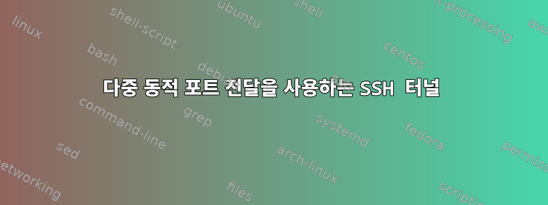 다중 동적 포트 전달을 사용하는 SSH 터널