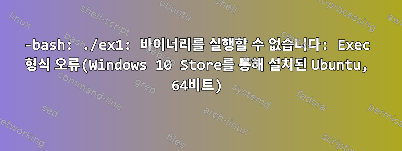 -bash: ./ex1: 바이너리를 실행할 수 없습니다: Exec 형식 오류(Windows 10 Store를 통해 설치된 Ubuntu, 64비트)