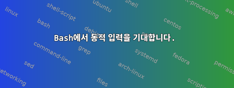 Bash에서 동적 입력을 기대합니다.