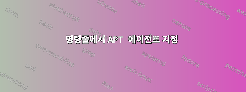 명령줄에서 APT 에이전트 지정