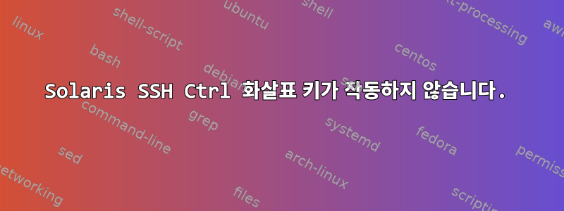 Solaris SSH Ctrl 화살표 키가 작동하지 않습니다.