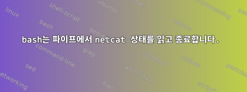 bash는 파이프에서 netcat 상태를 읽고 종료합니다.